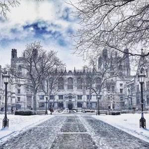 Meet your Posher, Leo